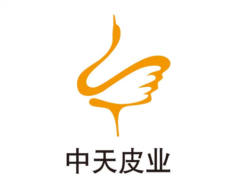 中天皮業(yè)logo設(shè)計