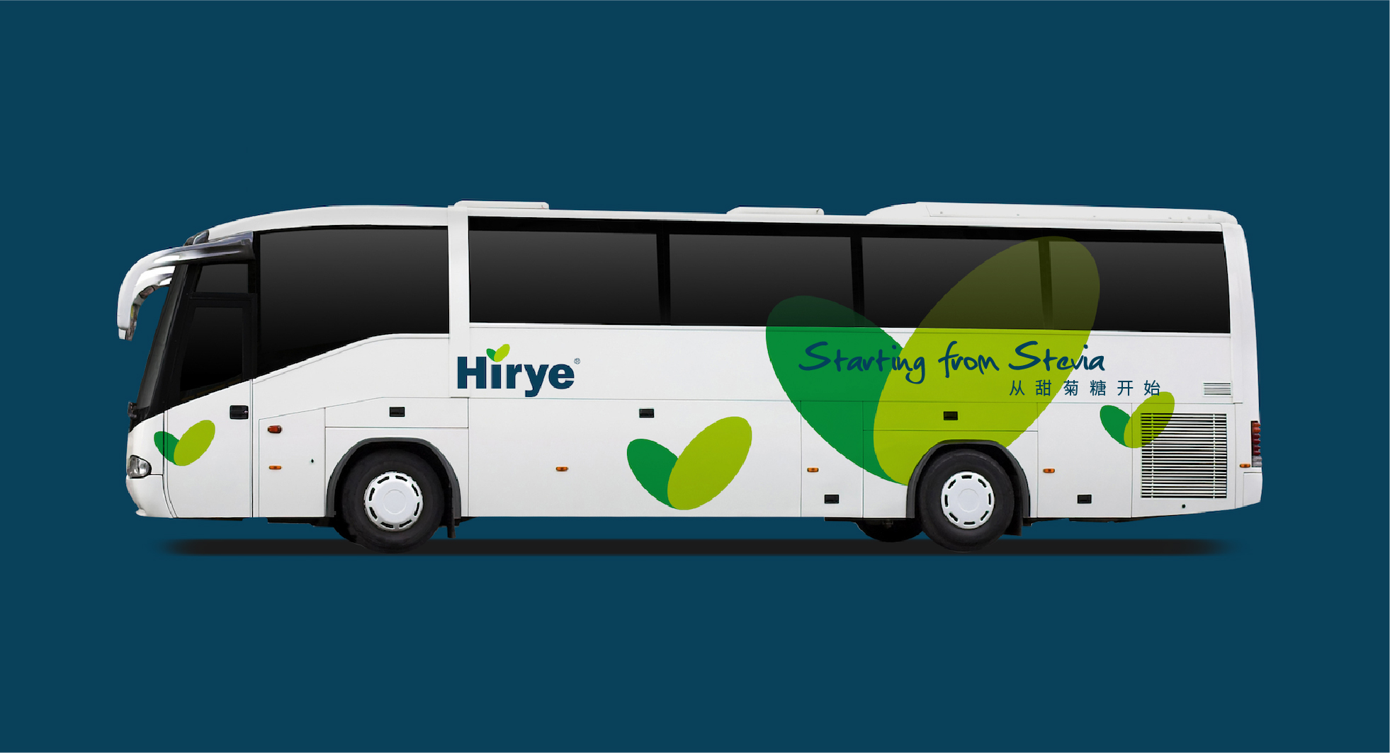  浩瑞甜菊糖-碩谷設(shè)計-上海vi設(shè)計-上海logo設(shè)計-品牌設(shè)計-標志設(shè)計-畫冊設(shè)計--logo 設(shè)計-品牌策劃-高端設(shè)計-碩谷品牌設(shè)計-30-30.jpg